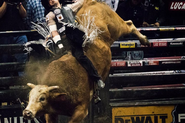 Reagan+Lee+-+ReaganLee_Thumb